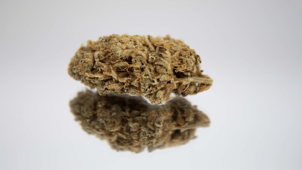 From Combat Boots to Cultivation: The Rise of Veteran Growers