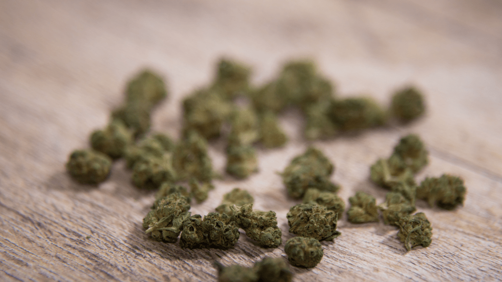 Life After Service: The Veteran Cannabis Community Online